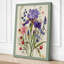 Iris and Specimen Botanical - Wrapped Canvas-1917212574-1917212770