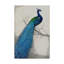« peacock blue i », reproduction de peinture à l’acrylique sur toile tendue-33425229