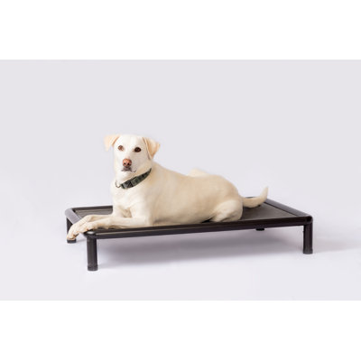 Cooling Elevated Dog Bed