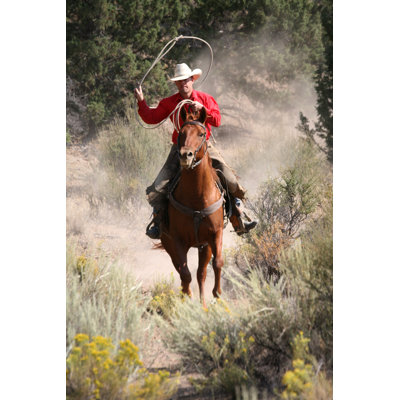 Cowboy on Horseback by Worldwideimages