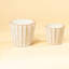 Agnew Clay Pot Planter