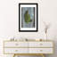 «Woodland Fern VI» par Sue Schlabach, reproduction de photo sur toile tendue-72578485-72578482-72578483