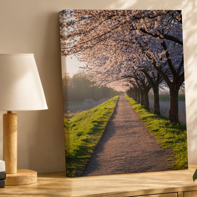 Canvas A Serene Pathway Meanders Through A Picturesque Landscape Bordered By Wall Art Majestic Cherry Blossom Trees In Full Bloom Canvas Wall Art