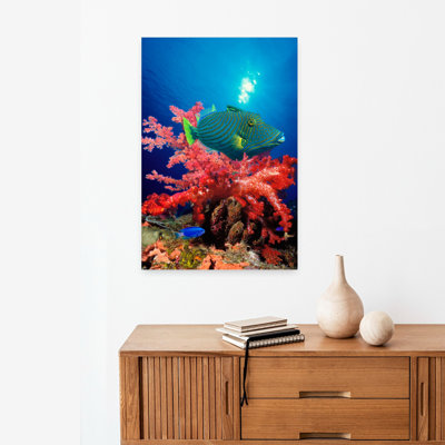 Orange-Lined Triggerfish Balistapus Undulatus And Soft Corals In The Ocean Abstract Contemporary Art