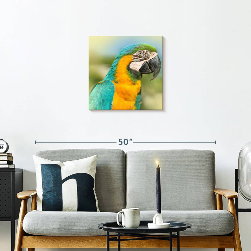 Brampt Parrot, 20" H x 20" W
