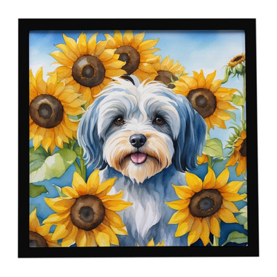 Tibetan Terrier in Sunflowers Framed Metal Print