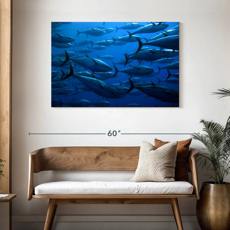 Brampt School Of Tuna Fish