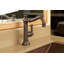 Jacobean Single Hole Bathroom Faucet with Drain Assembly-1826977199