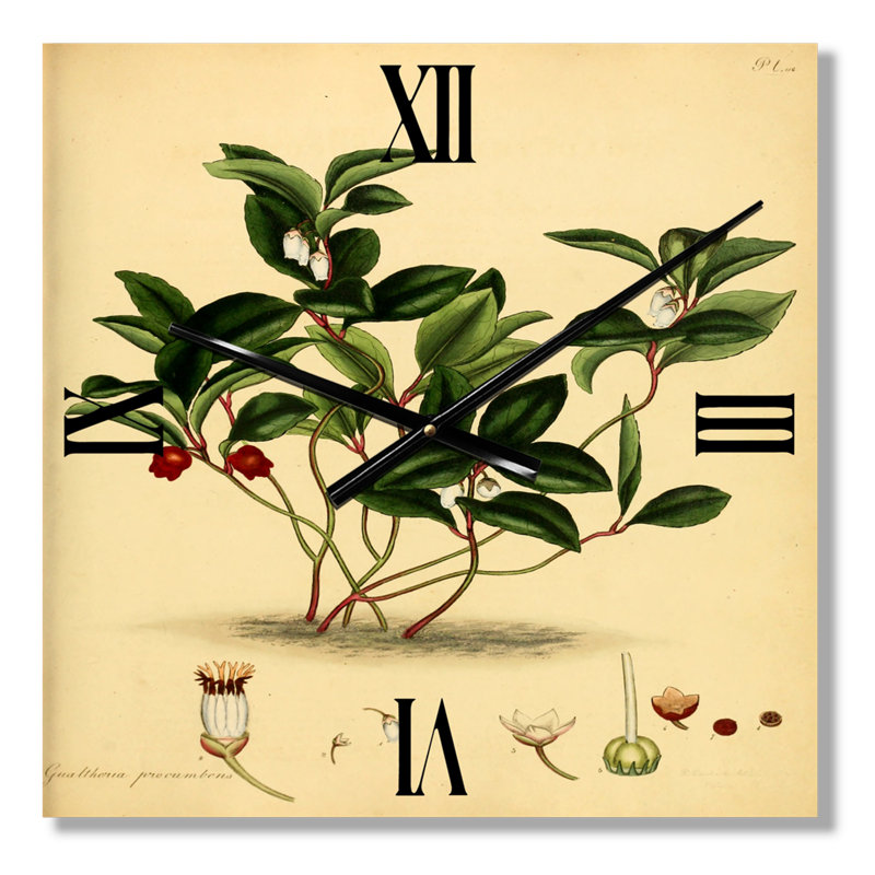 Wall Clock, Medium