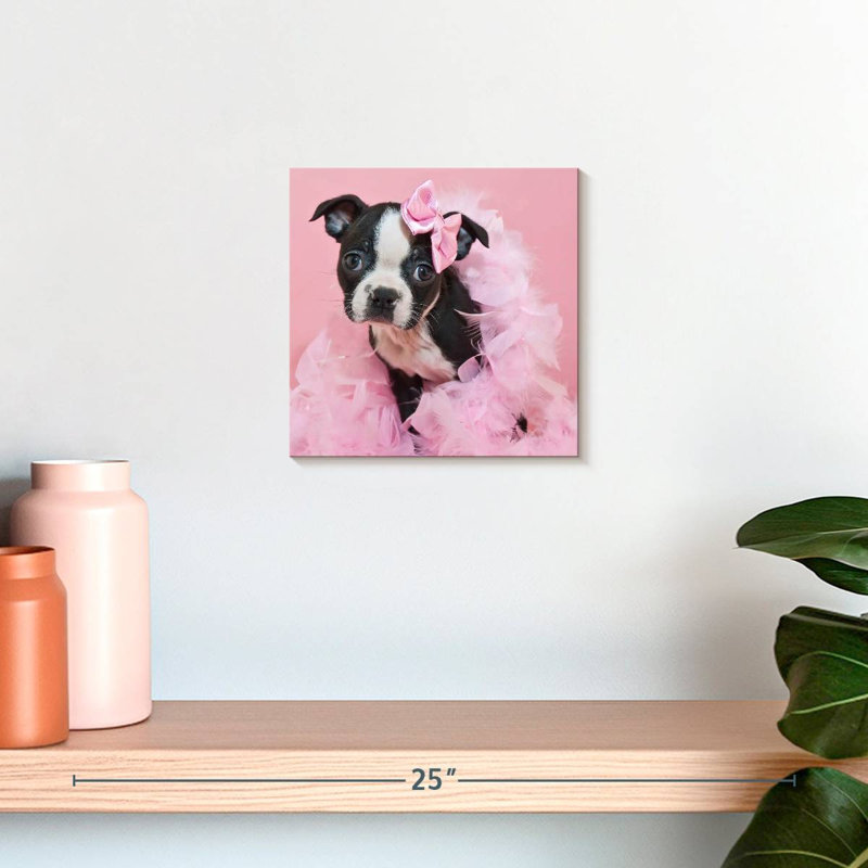 Crowle Sassy Boston Terrier, H 10 po x l 10 po