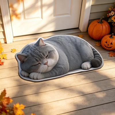 Flock carpet Cute   Diatomaceous Earth Doormat  Water Absorb Fast Dry Bathroom Floor Mat Non   Clean Entrance Front Door Rug For Home Decor