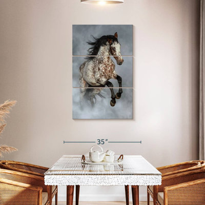 Brampt brumeux Appaloosa