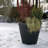 Self Watering Indoor/Outdoor Dot Planter-17049374-119117373