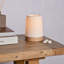 Stiliani Ceramic Table Lamp