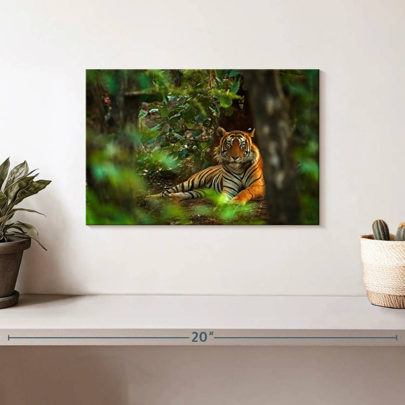 Brampt Indian Tiger, 8" H x 12" W