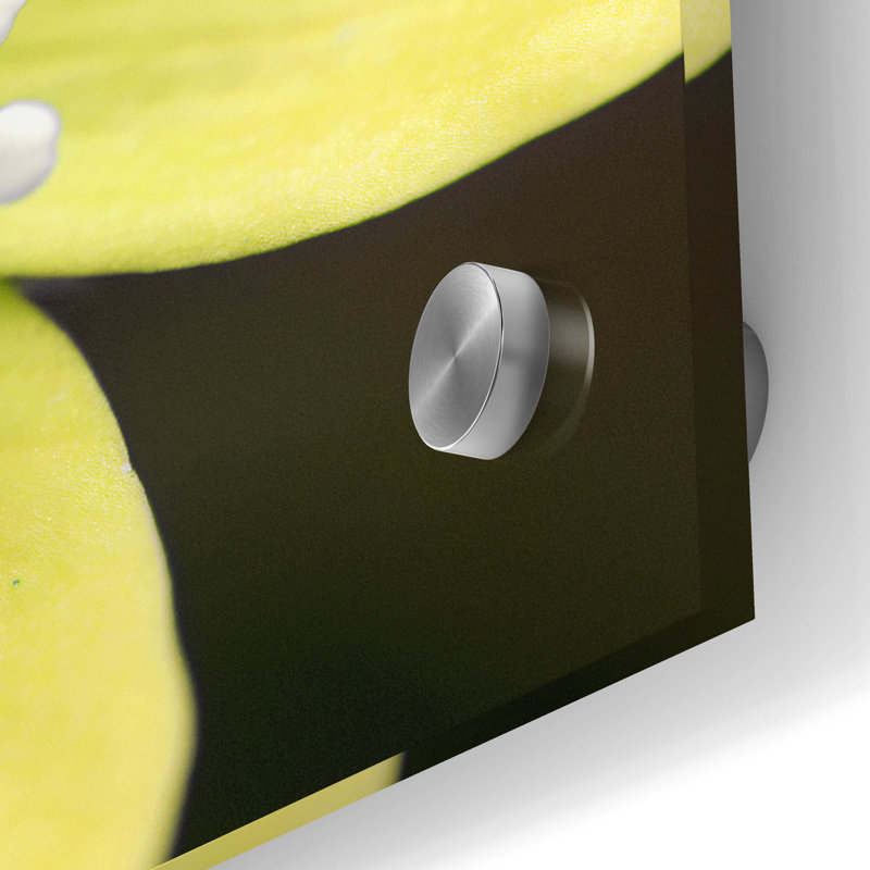 «Yellow Blossom» par PhotoINC Studio, H 24 po x l 24 po x P 0,2 po