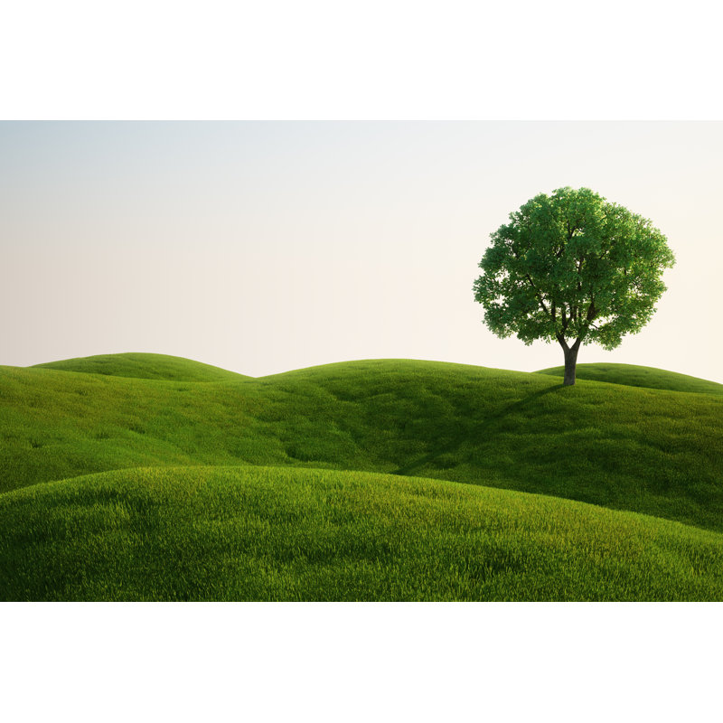Grass Field - Wrapped Canvas Print, 30cm H x 46cm W x 3.8cm D
