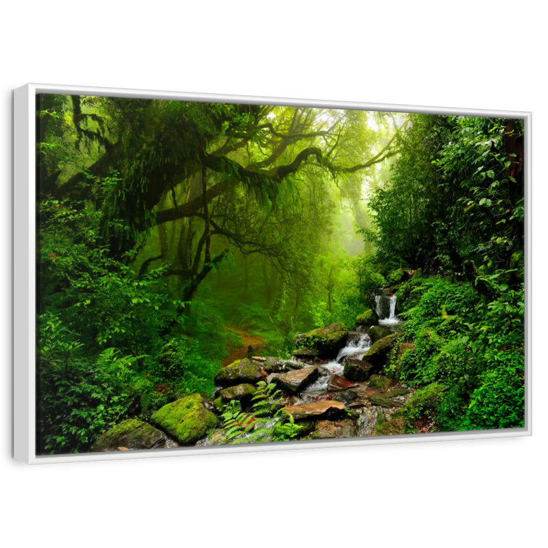 Forest Stream, 19" X 13", Floating Frame White