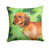 Dachshund