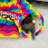 2-in-1 Cat Tunnel Bed Collapsible Cat Hideaway