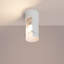Flash Steel Flush Mount