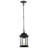Dacchille Outdoor Hanging Lantern