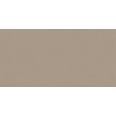 Element 12" x 24" Porcelain Concrete Look Wall & Floor Tile
