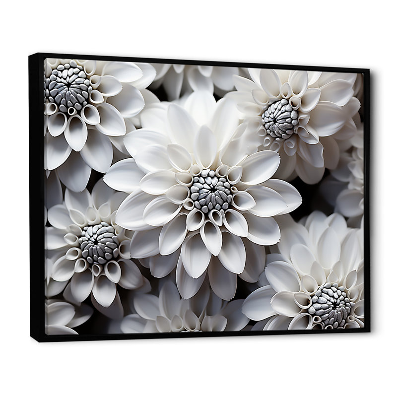 «Essential Black and White Mums Beauty» sur toile, H 16 po x l 32 po x P 1 po, Cadre flottant noir