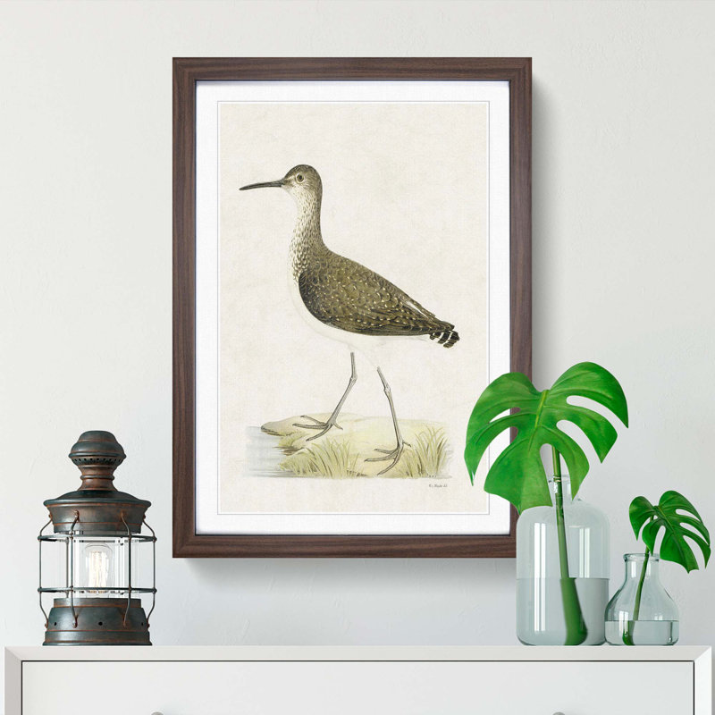 Green Sandpiper by Von Wright - Picture Frame Painting Print, 87cm H x 62cm W x 2cm D, Walnut Framed