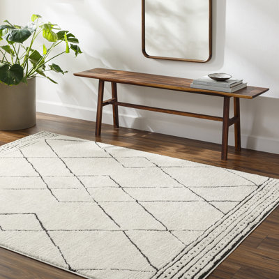Area Rug