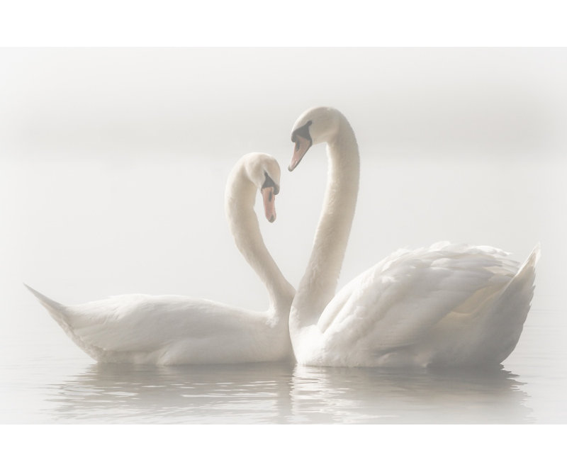 Wrapped Canvas Print, 121.92 cm H x 81.28 cm W