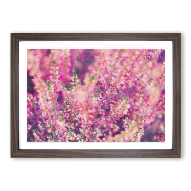 Pink Heather - Picture Frame Graphic Art, 36cm H x 48cm W x 2cm D, Walnut Framed