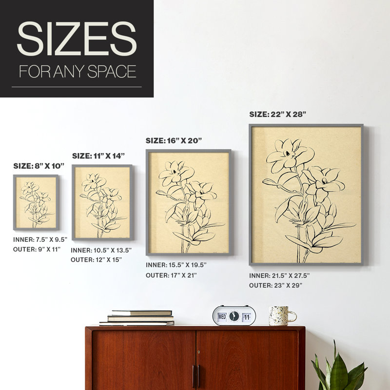 «Magnolia S croquis I», reproduction encadrée de qualité supérieure - prête à être accrochée - aucun clou requis - aucun clou requis