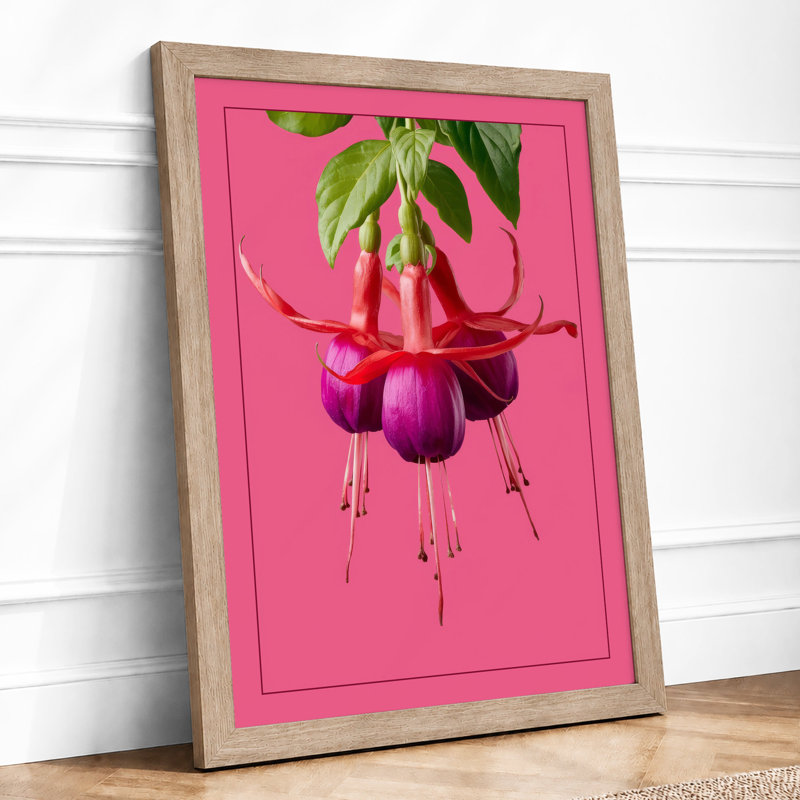 Fuchsia Bloom Botanical - Framed Print, A2 - 59.4 x 42.0 cm, Oak