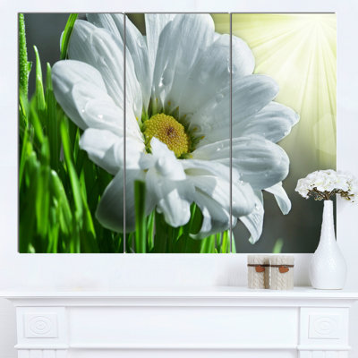 « single magnifique fleur », ensemble de 3 reproductions de photos sur toiles tendues