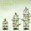 Roneshia 64.2" H x 10.2" W Plastic Coated Metal Obelisk Trellis