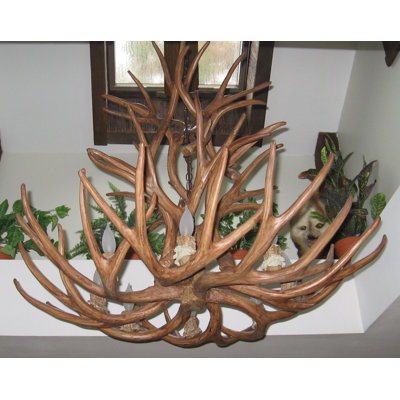 Murawski Antler Mule Deer 8-Light Chandelier