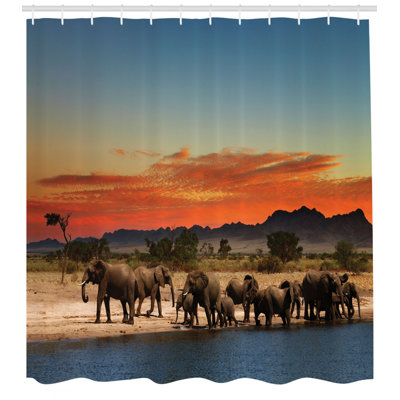 Ensemble de rideau de douche et crochets safari