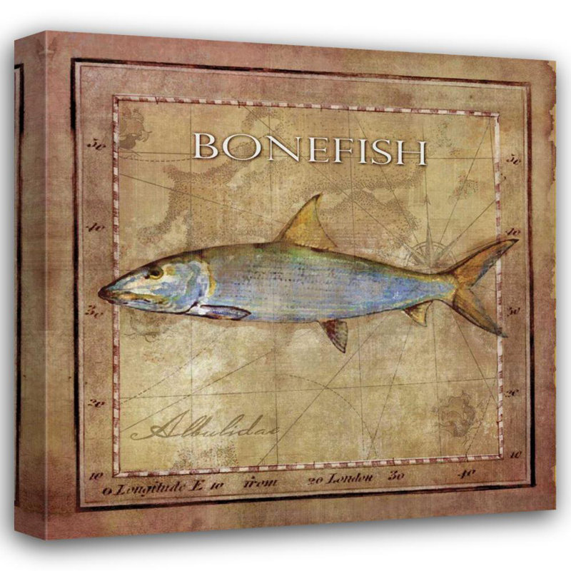 Beachcrest Home ™, reproduction d'art sur toile tendue par Beth Anne, Ocean Fish IV, H 36 po x l 36 po