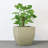 Vinesha ECOBO Eco-Friendly Planter Indoor/Outdoor Planter for Flowers & Plants Contemporary All-Weather-88977511-88977515-93820041
