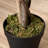 Charleston 160cm Faux Ficus Tree in Pot