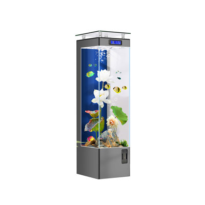 55-64 Gallon acrylic Modern Freestanding Eco Aquarium Tank