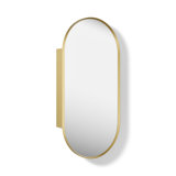 Verdera Capsule Framed Medicine Cabinet