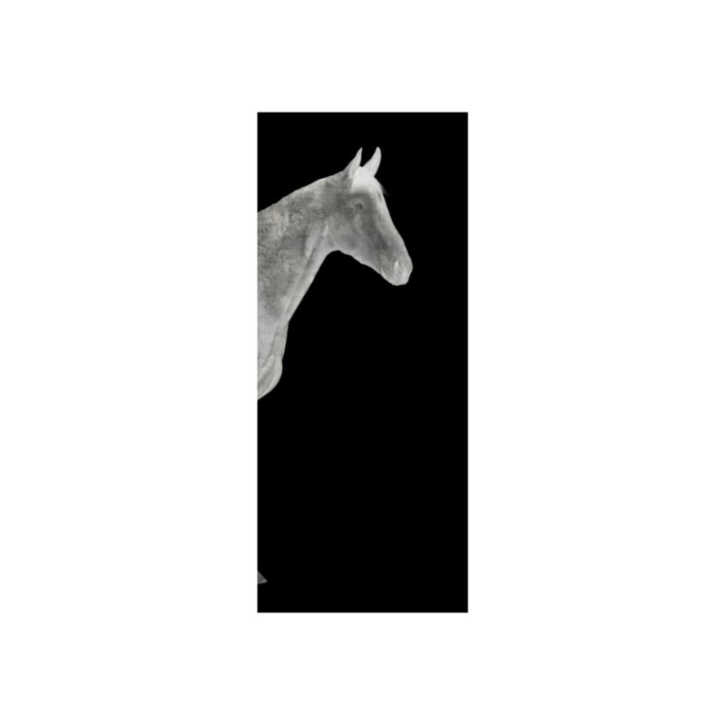 Twilight Cheval III Print by Austin Beiv, Glass Coat