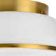 Asuna 2 Light Glass Flush Mount