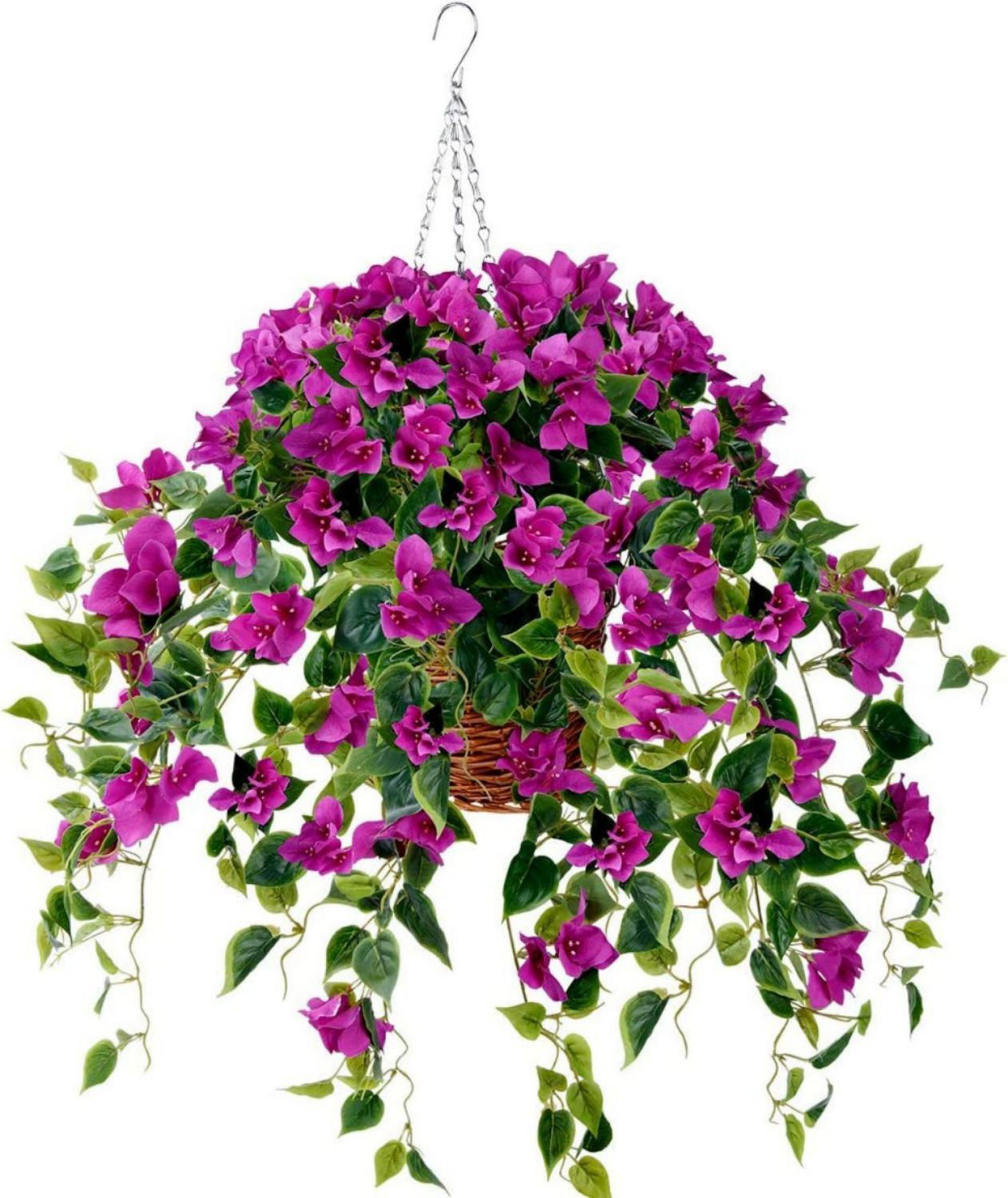 Primrue Bougainvillea Hanging Basket Arrangement Wayfair