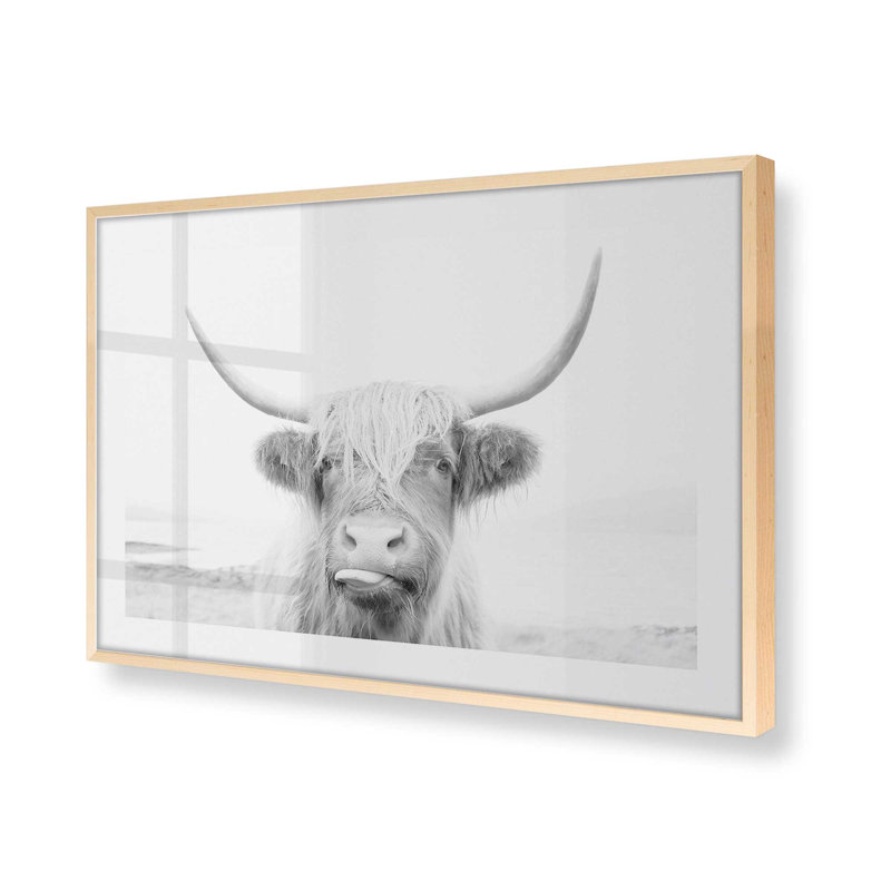 Imprimé de vache Highland ludique, Érable brut encadré, H 13 po x l 17 po x P 1,25 po