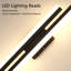 2-Light 48Cm Black 3000K Flush Mounted Sconce