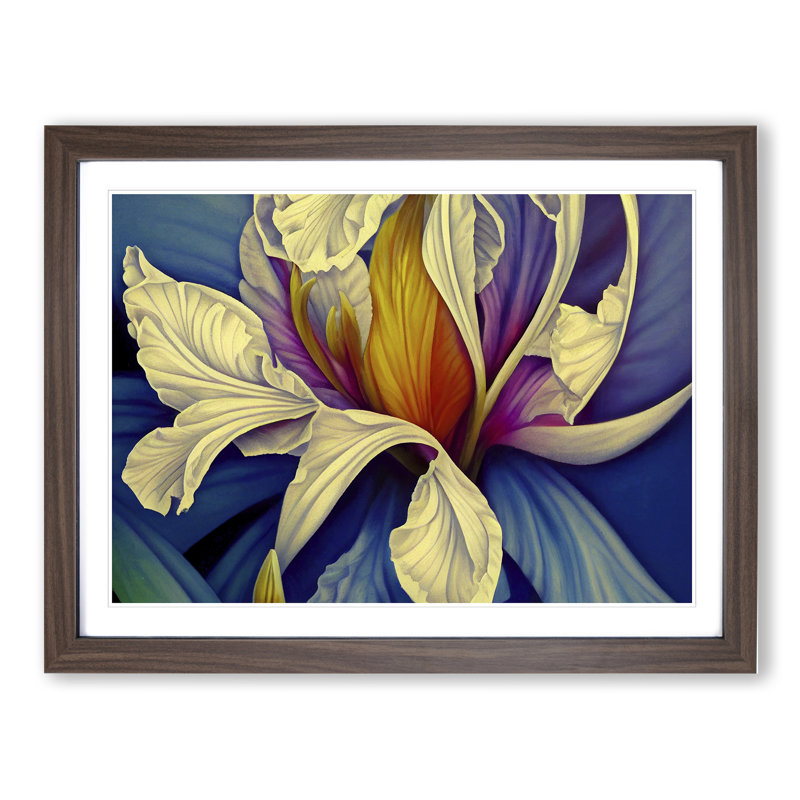 Beaming Modern Flower Art - Single Picture Frame Print, 25cm H x 34cm W x 2cm D, Walnut