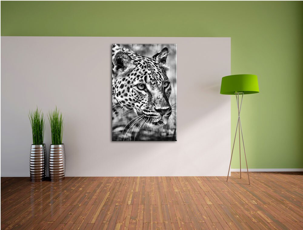 Leinwandbild Schleichender Leopard in Monochrom